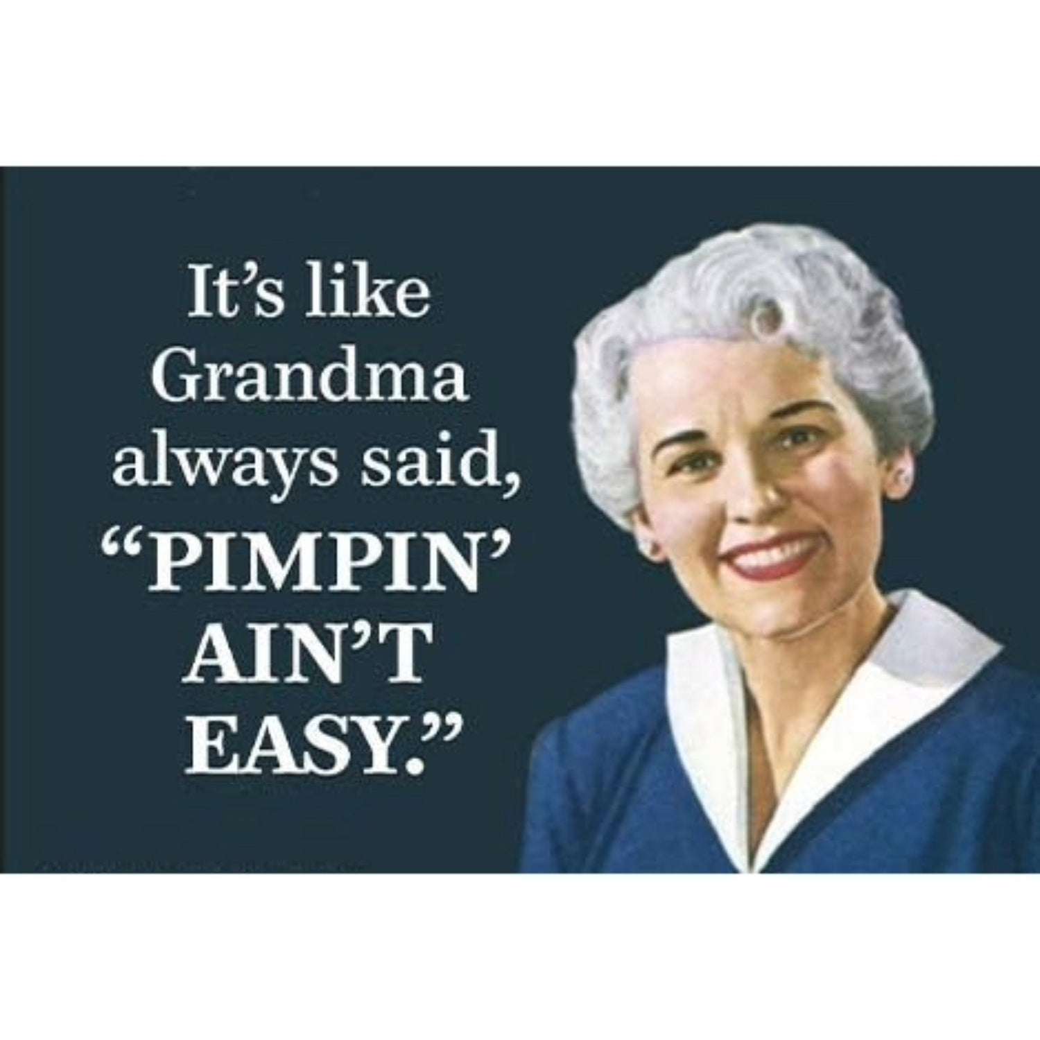It's Like Grandma Always said, "Pimpin' Ain't Easy." Rectangular Magnet-Ephemera-The Bullish Store