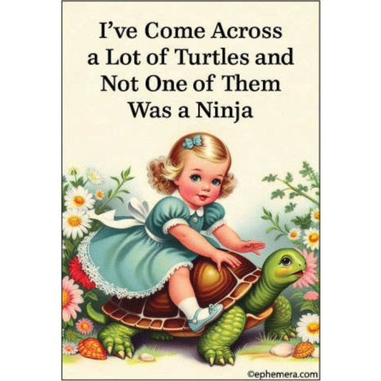 I've Come Across a Lot Of Turtles and Not One of Them Was a Ninja Rectangular Magnet | Fridge Magnetic Surface Magnet Decor | 3" x 2"-Ephemera-The Bullish Store