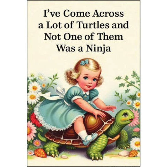 I've Come Across a Lot Of Turtles and Not One of Them Was a Ninja Rectangular Magnet | Fridge Magnetic Surface Magnet Decor | 3" x 2"-Ephemera-The Bullish Store