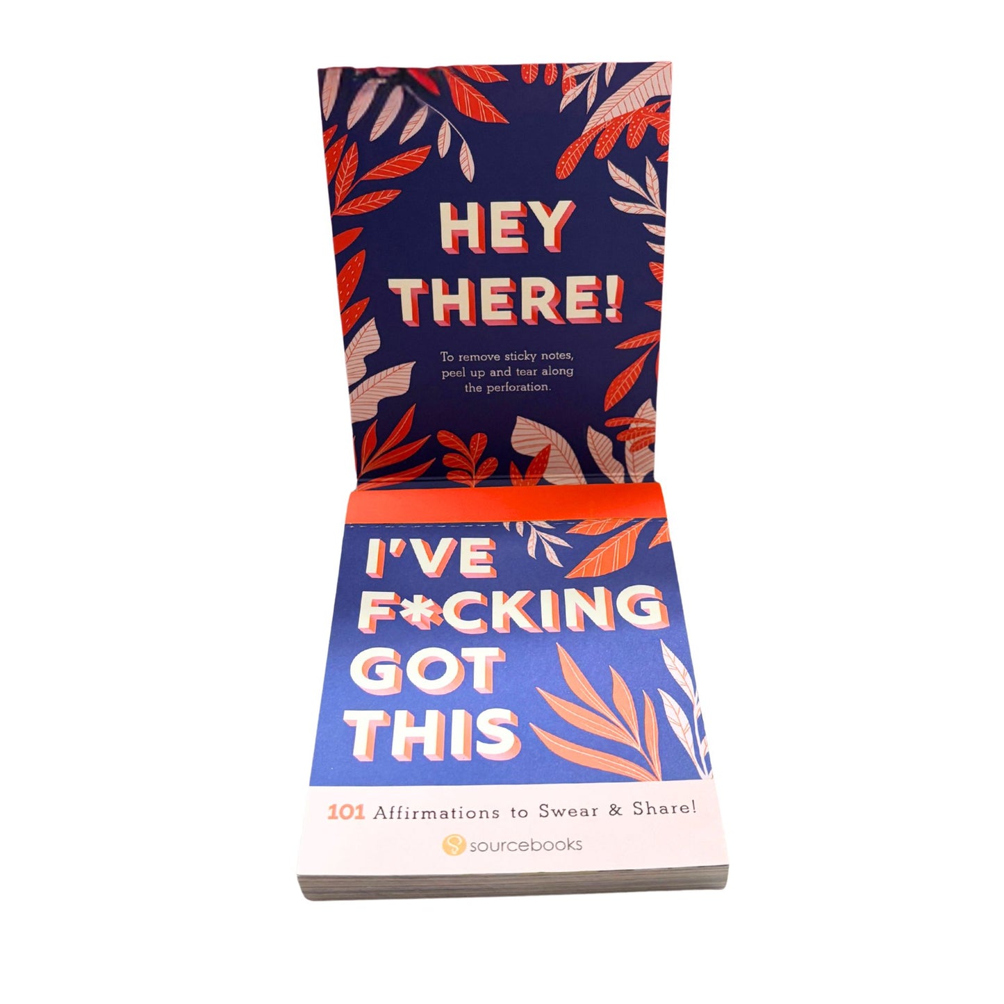 I've F⭐️cking Got This Sticky Notes | 101 Positive Affirmations