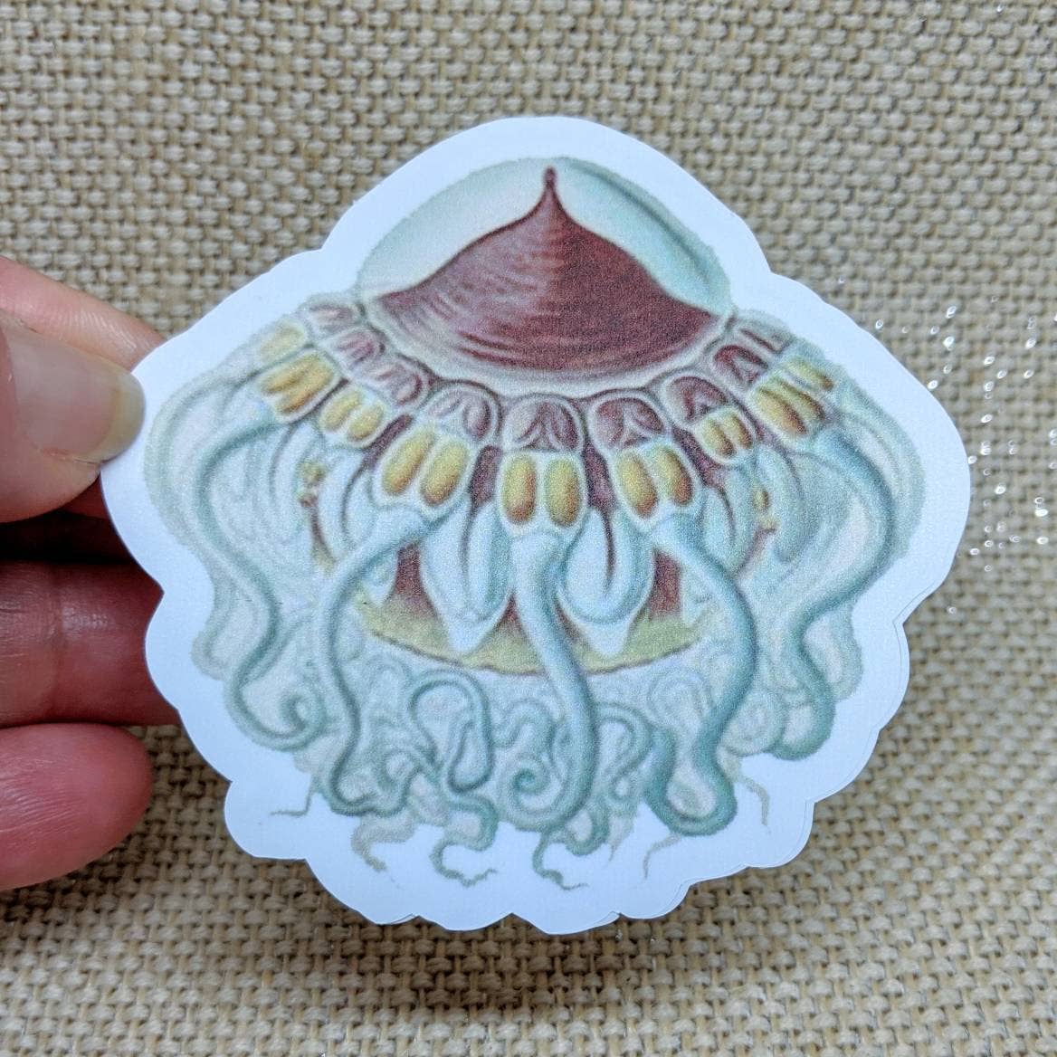 Jellyfish Vintage Art Vinyl Sticker