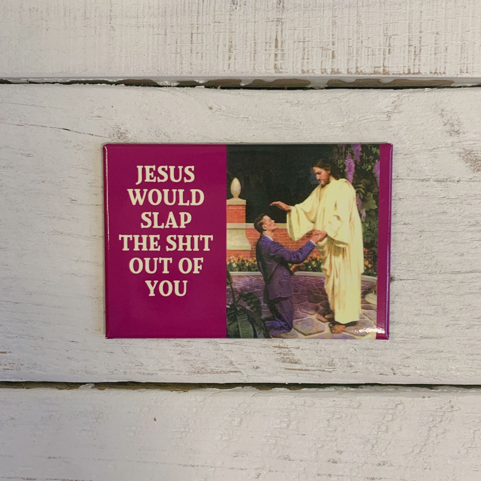 Jesus Would Slap The Shit Out Of You. Fridge Magnet