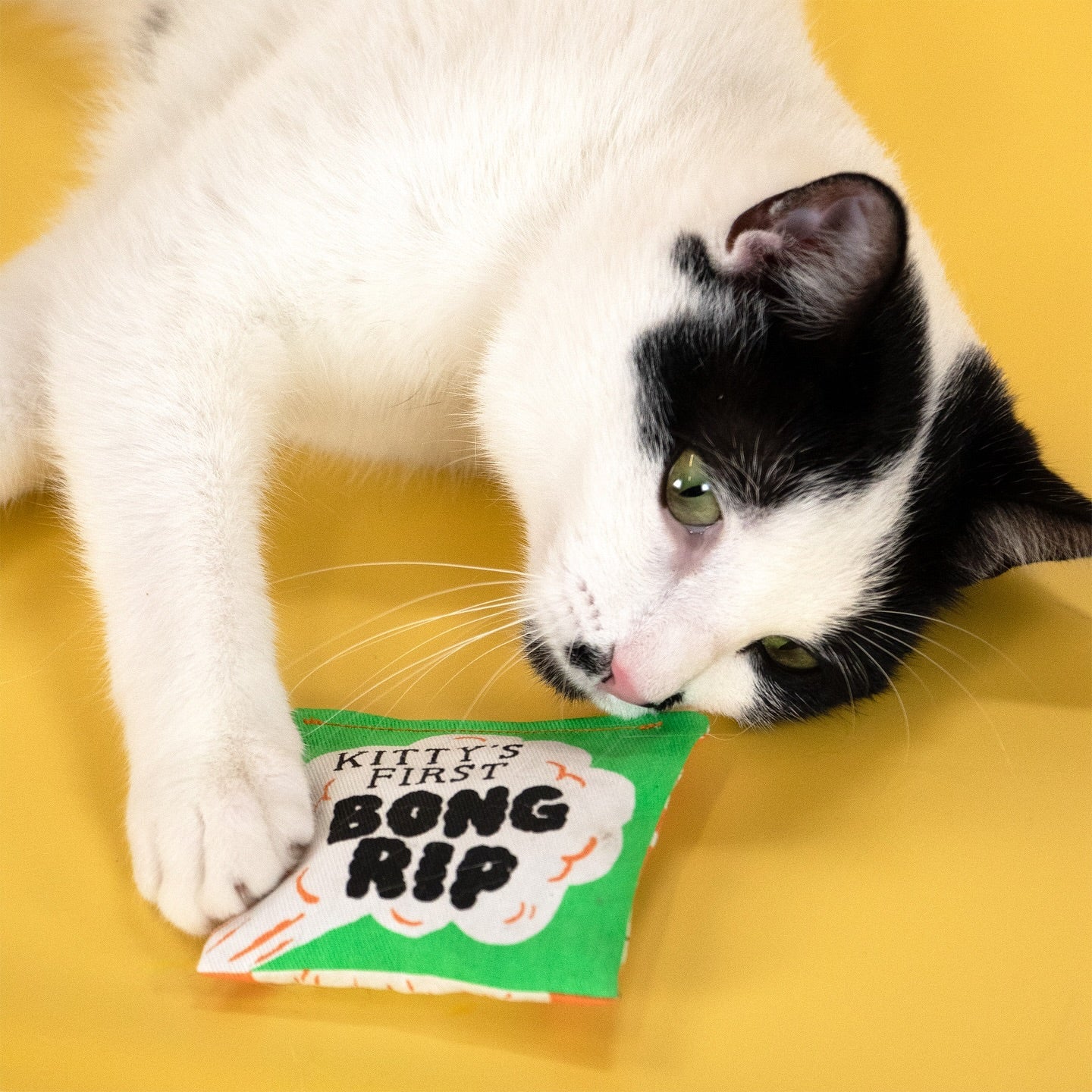 Kitty's First Bong Rip Catnip Cat Toy | Premium Organic Catnip in Illustrated Cotton Pouch | BlueQ at GetBullish