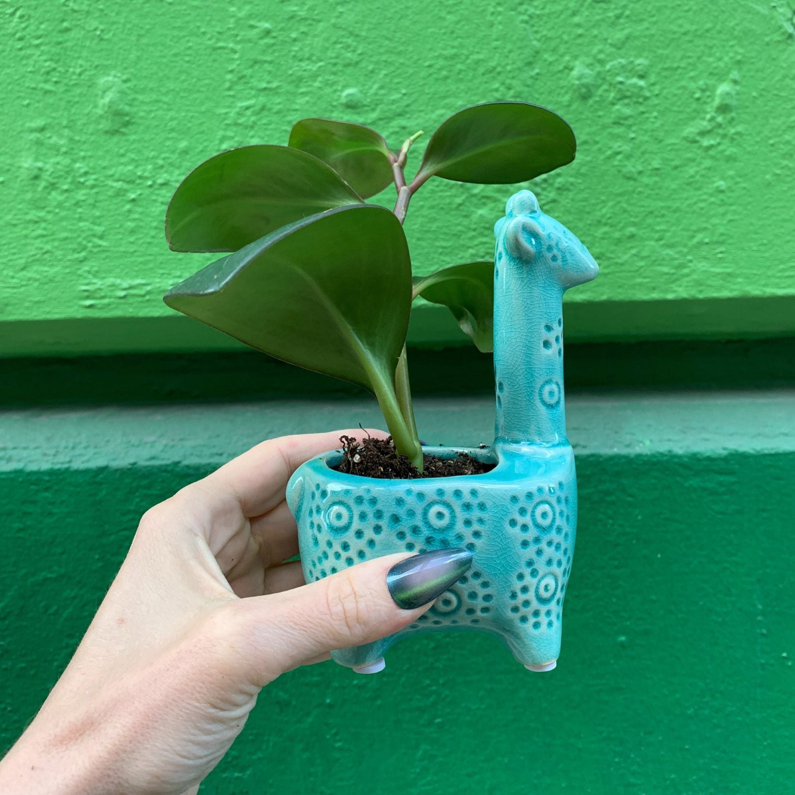 giraffe plant pot Lake Blue Giraffe Planter