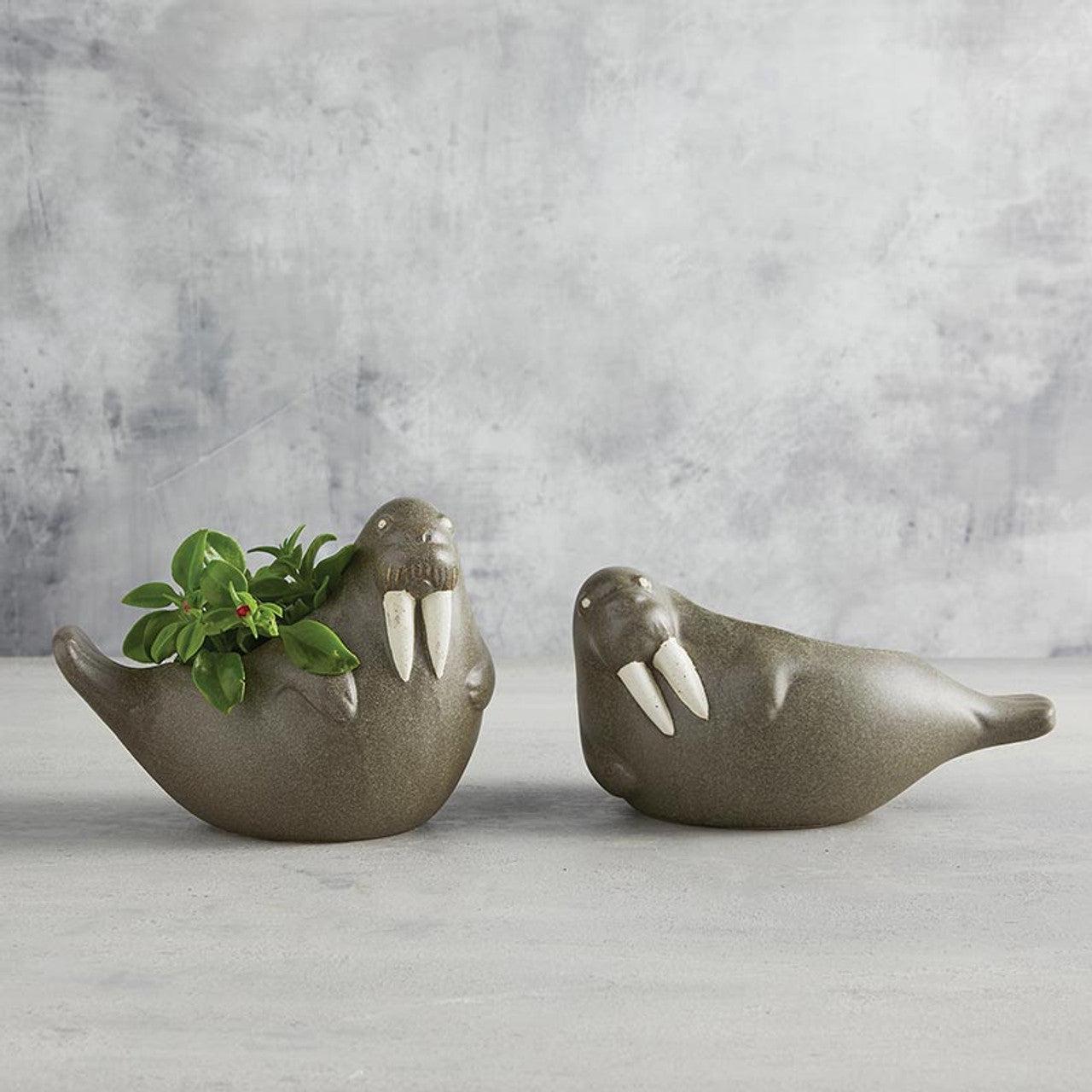 Large Laying Walrus Planter | Ceramic Aquatic Animal Design Pot | 8" x 6"