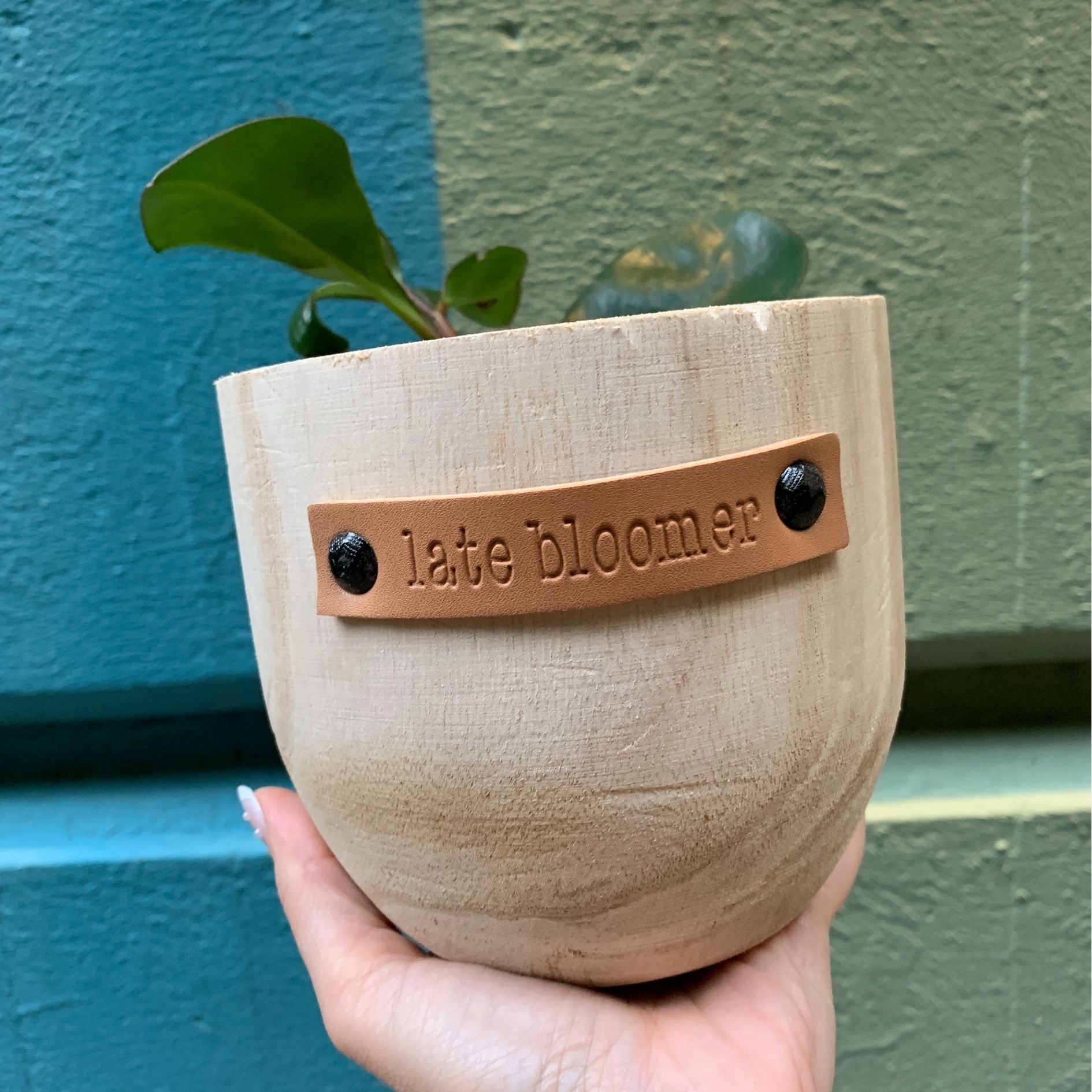 Late Bloomer Paulownia Wood Planter | 5" Tall