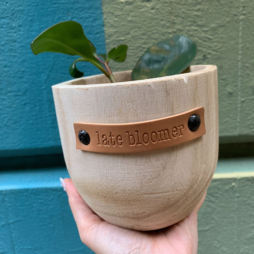 Late Bloomer Paulownia Wood Planter | 5" Tall