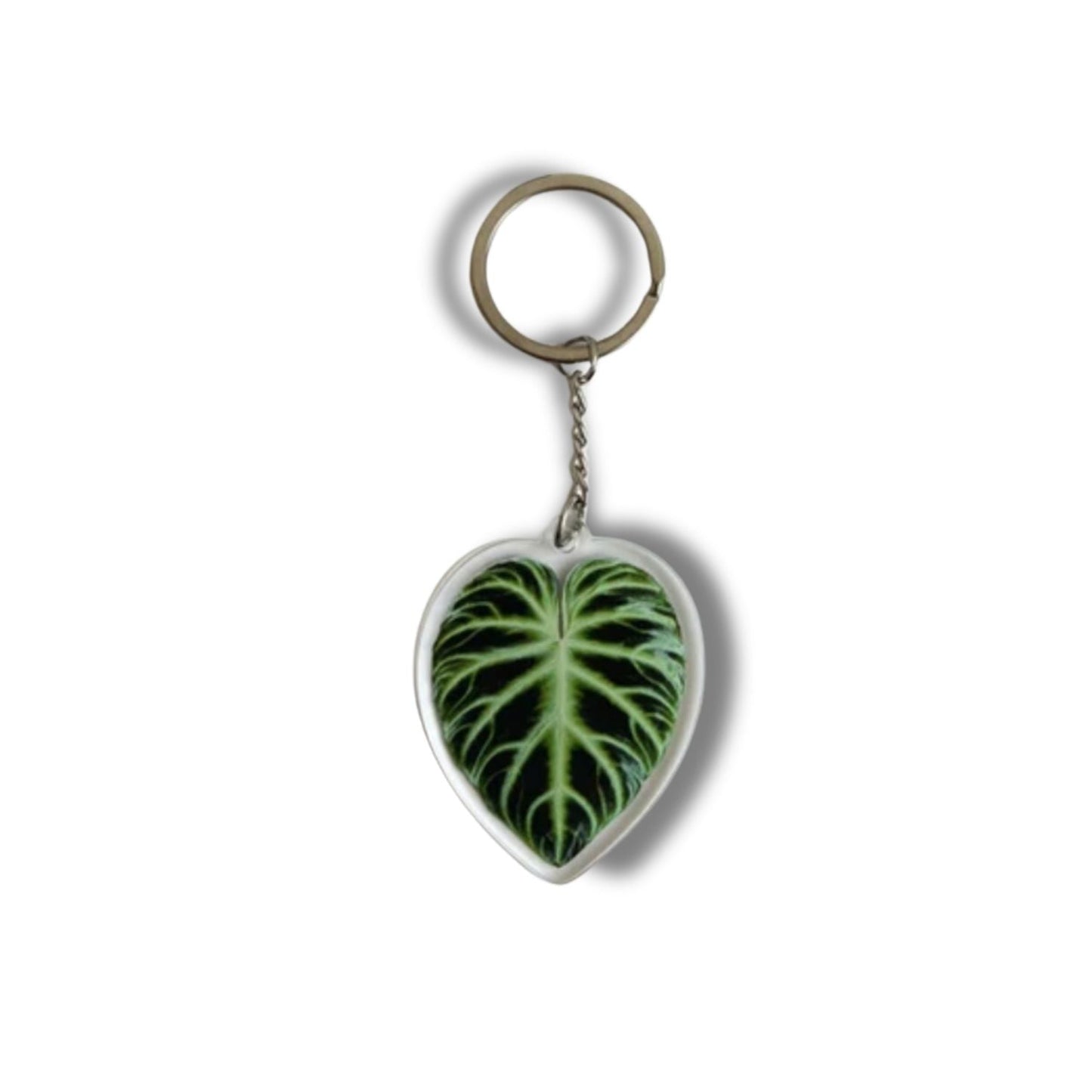 Leaf Acrylic Keychain | 7 Illustrated Styles | Double-Sided Design