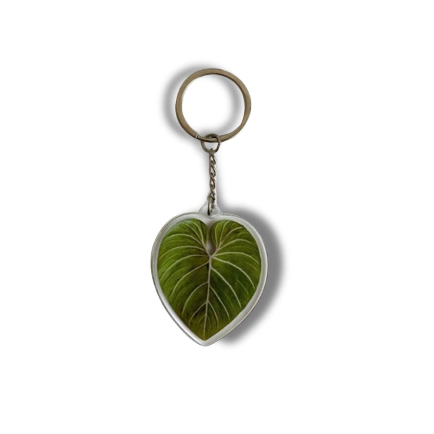 Leaf Acrylic Keychain | 7 Illustrated Styles | Double-Sided Design