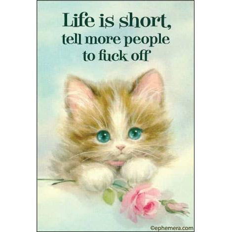 Kitten with a rose and text "Life is short, tell more people to fuck off."