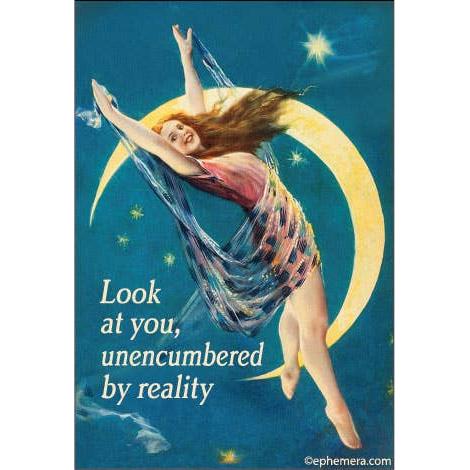 Look at You, Unencumbered by Reality Magnet | Funny Sarcastic Quote Fridge Magnet
