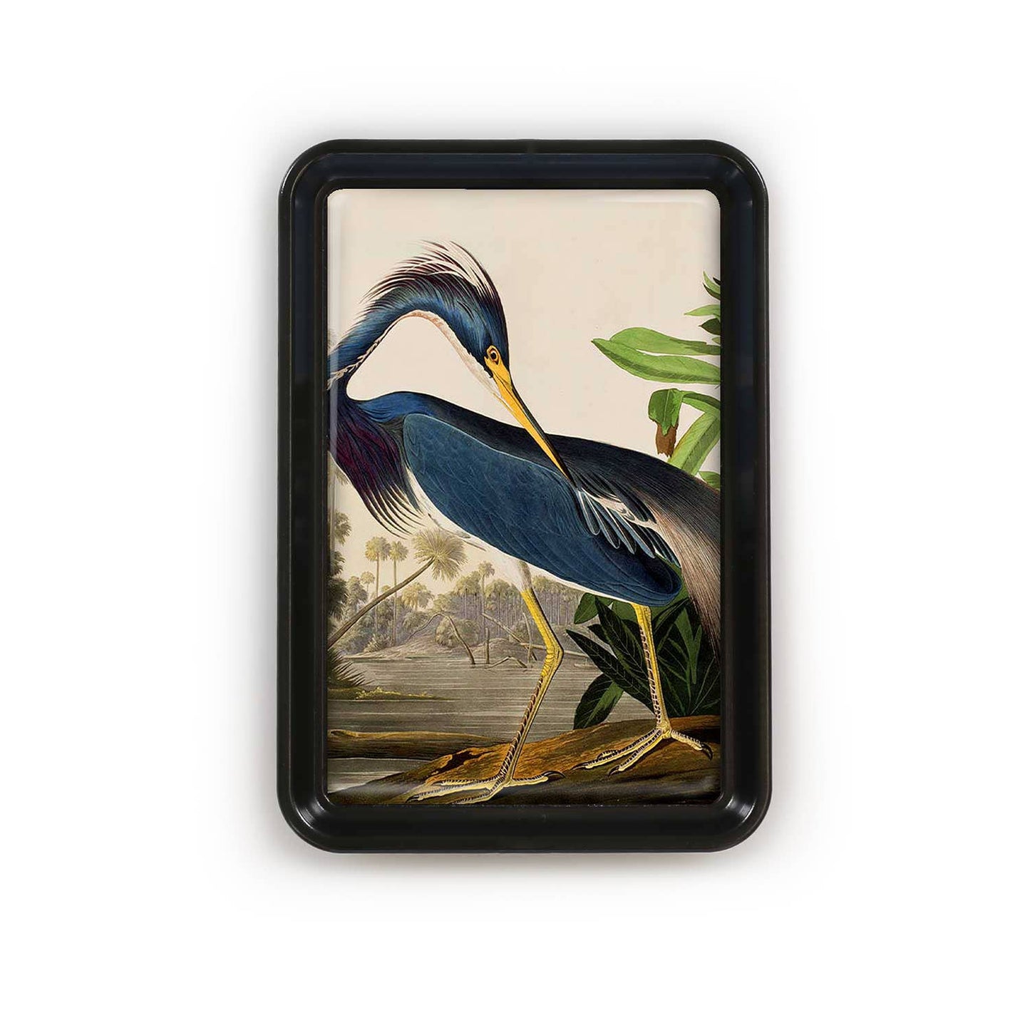 Louisiana Heron Audubon Decorative Tray | Classic Bird Art Catchall