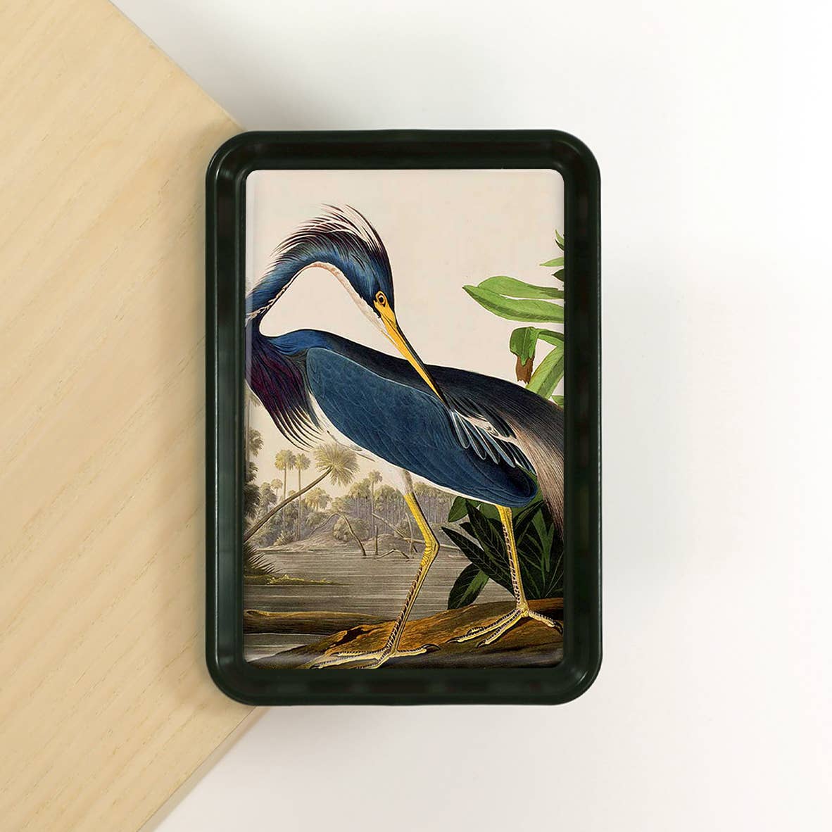 Louisiana Heron Audubon Decorative Tray | Classic Bird Art Catchall