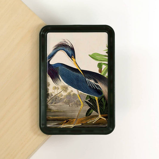 Louisiana Heron Audubon Decorative Tray | Classic Bird Art Catchall