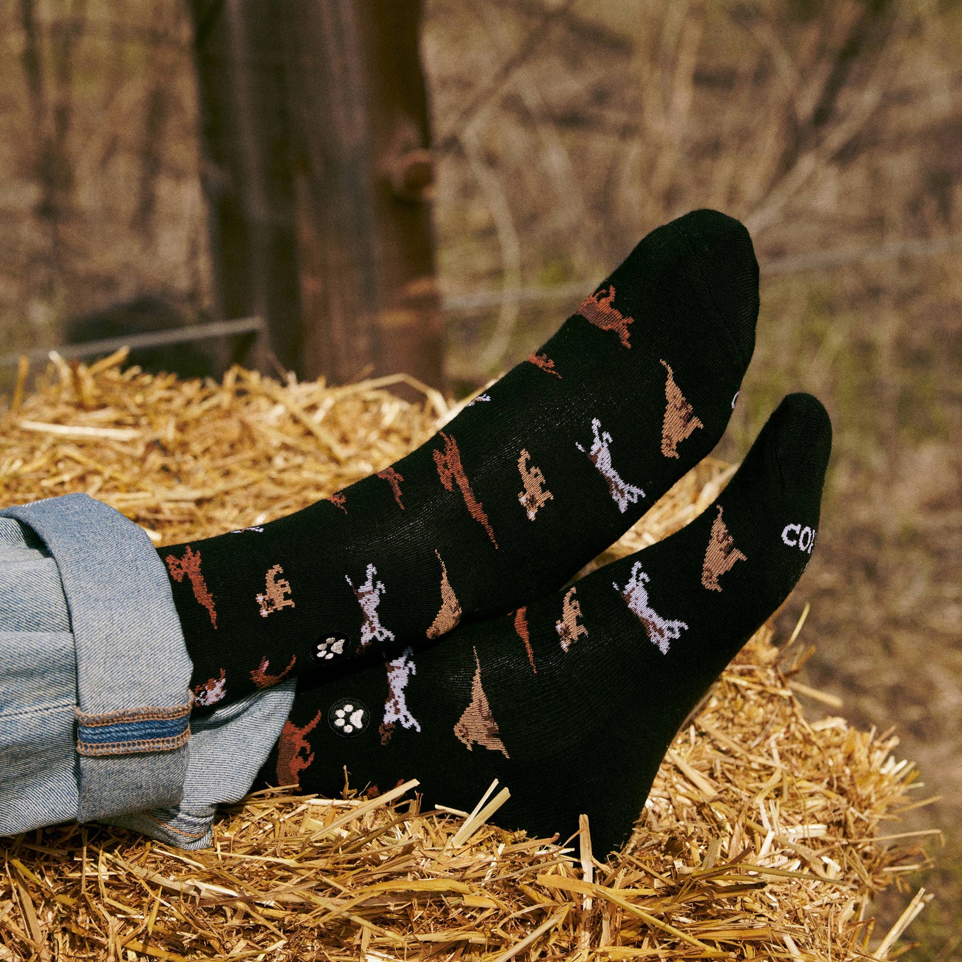 Men's Socks that Save Dogs (Paw Parade) | Fair Trade | Fits Men's Sizes 8.5-13-Conscious Step-The Bullish Store