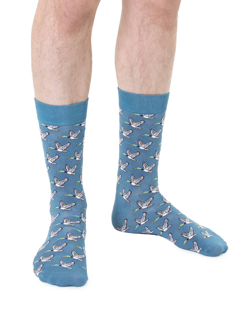 Blue socks with bird pattern worn by a person on a white background