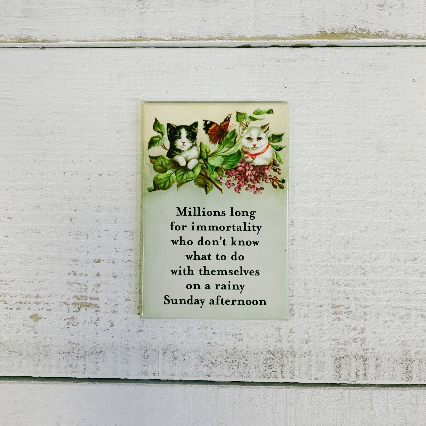 Millions Long For Immortality On A Rainy Sunday Afternoon Cute Cats Rectangular Magnet Decor | 3" x 2"