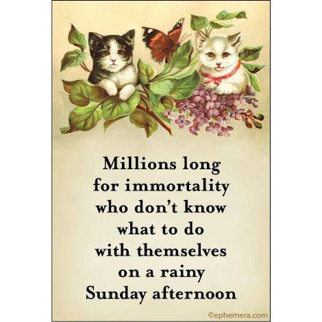 Millions Long For Immortality On A Rainy Sunday Afternoon Cute Cats Rectangular Magnet Decor | 3" x 2"