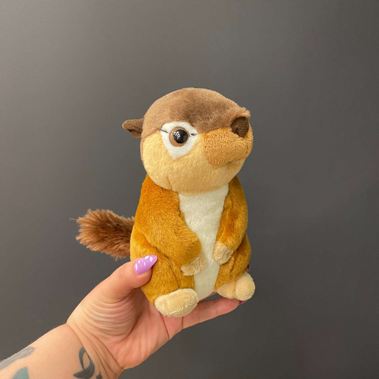 Mini Chipmunk Stuffed Animal 8" | Cuddlekins Mini Plush Chipmunk by Wild Republic