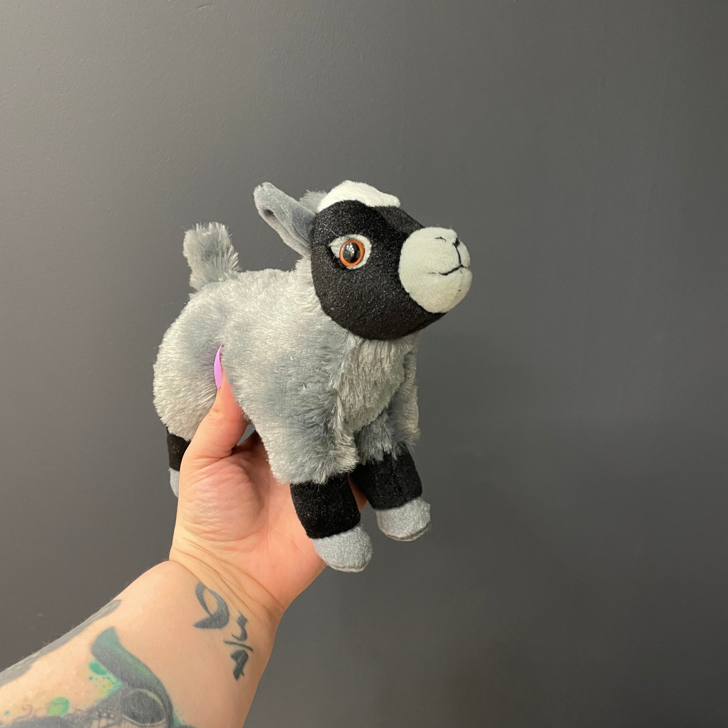 Mini Goat Stuffed Animal 8" | Cuddlekins Mini Goat Plush from Wild Republic