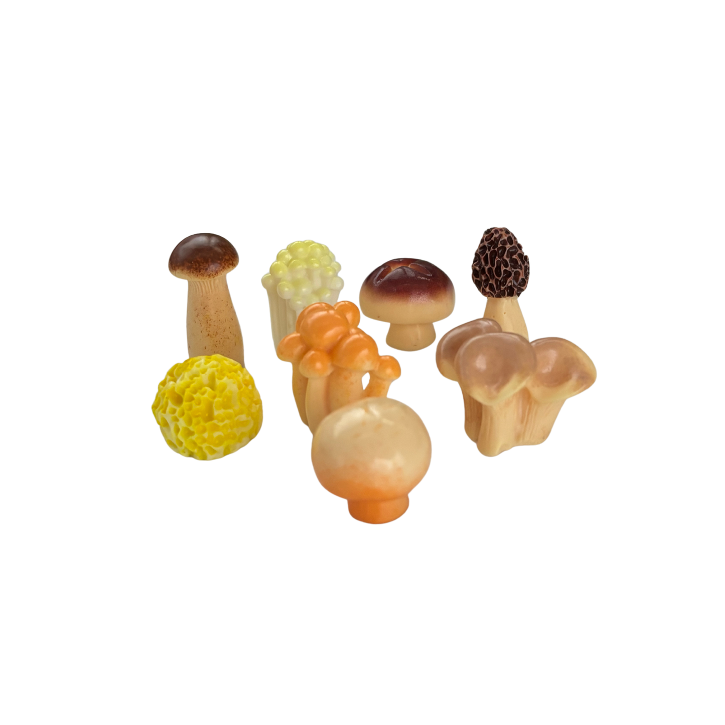 Mini Japanese Mushroom Garden Desk Set | 8 Tiny Mushroom Models