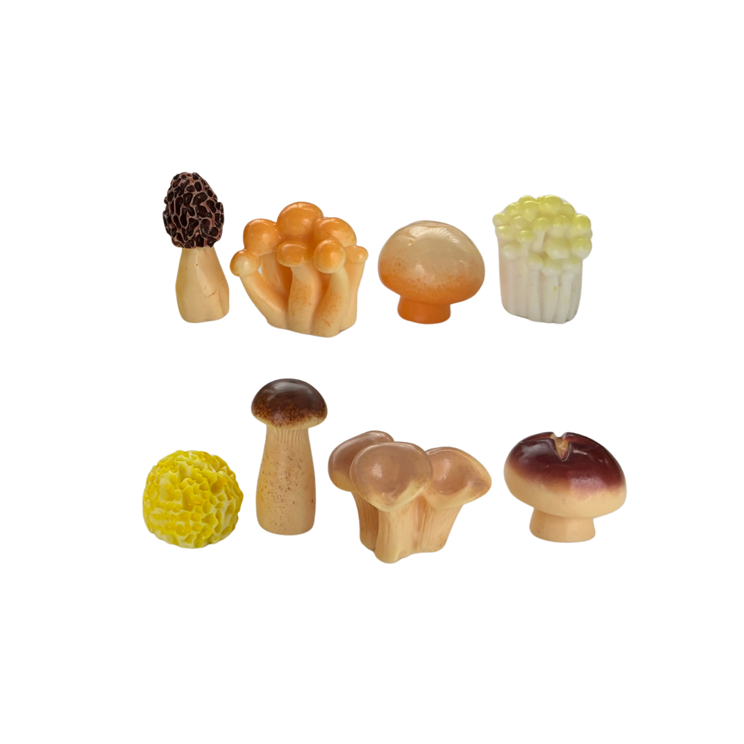 Mini Japanese Mushroom Garden Desk Set | 8 Tiny Mushroom Models