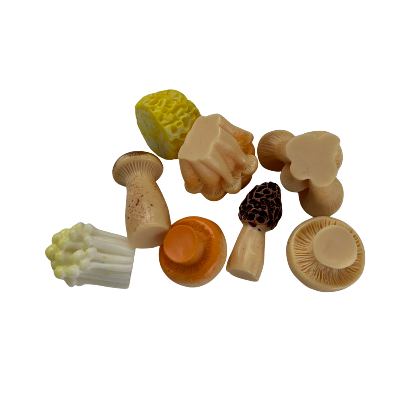 Mini Japanese Mushroom Garden Desk Set | 8 Tiny Mushroom Models