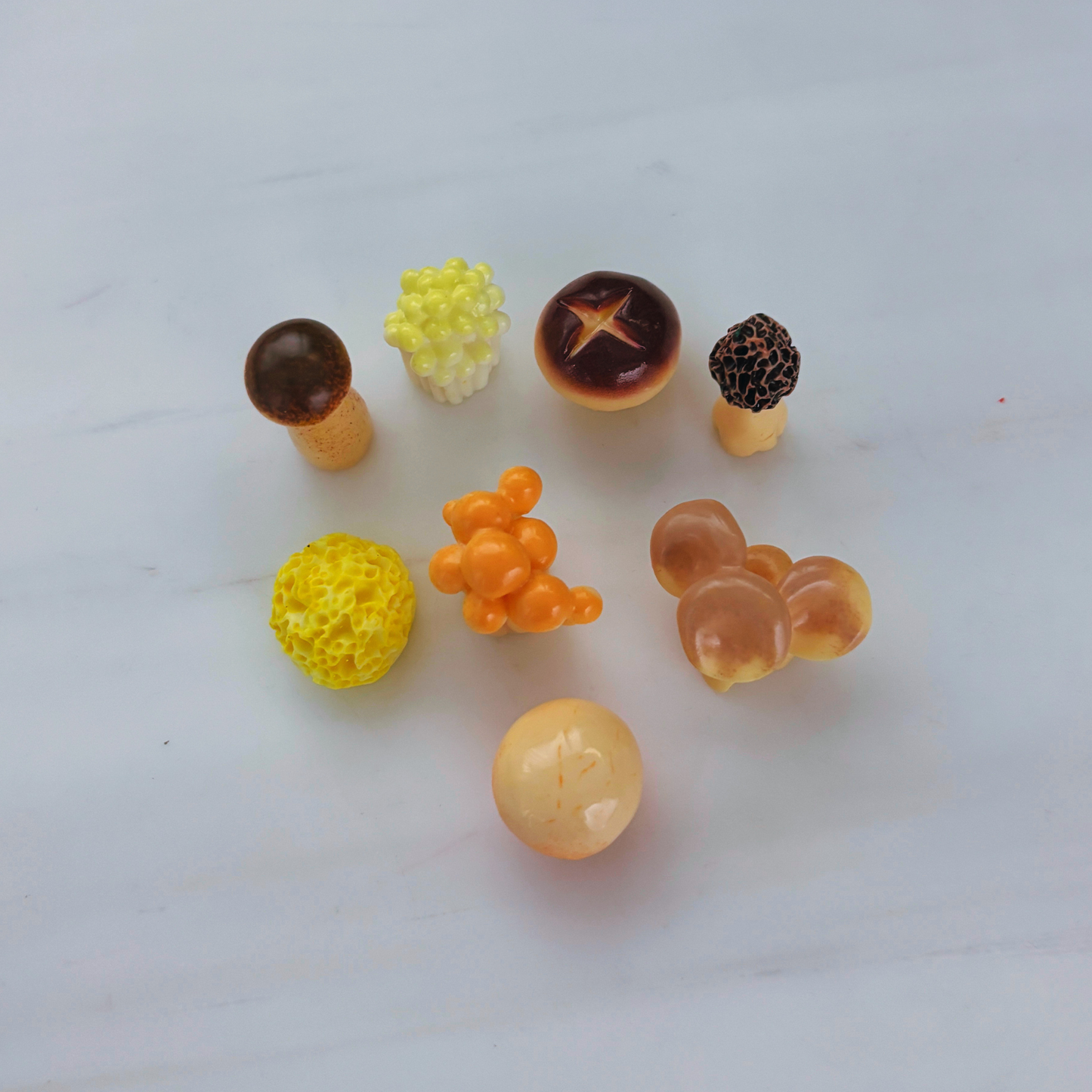 Mini Japanese Mushroom Garden Desk Set | 8 Tiny Mushroom Models