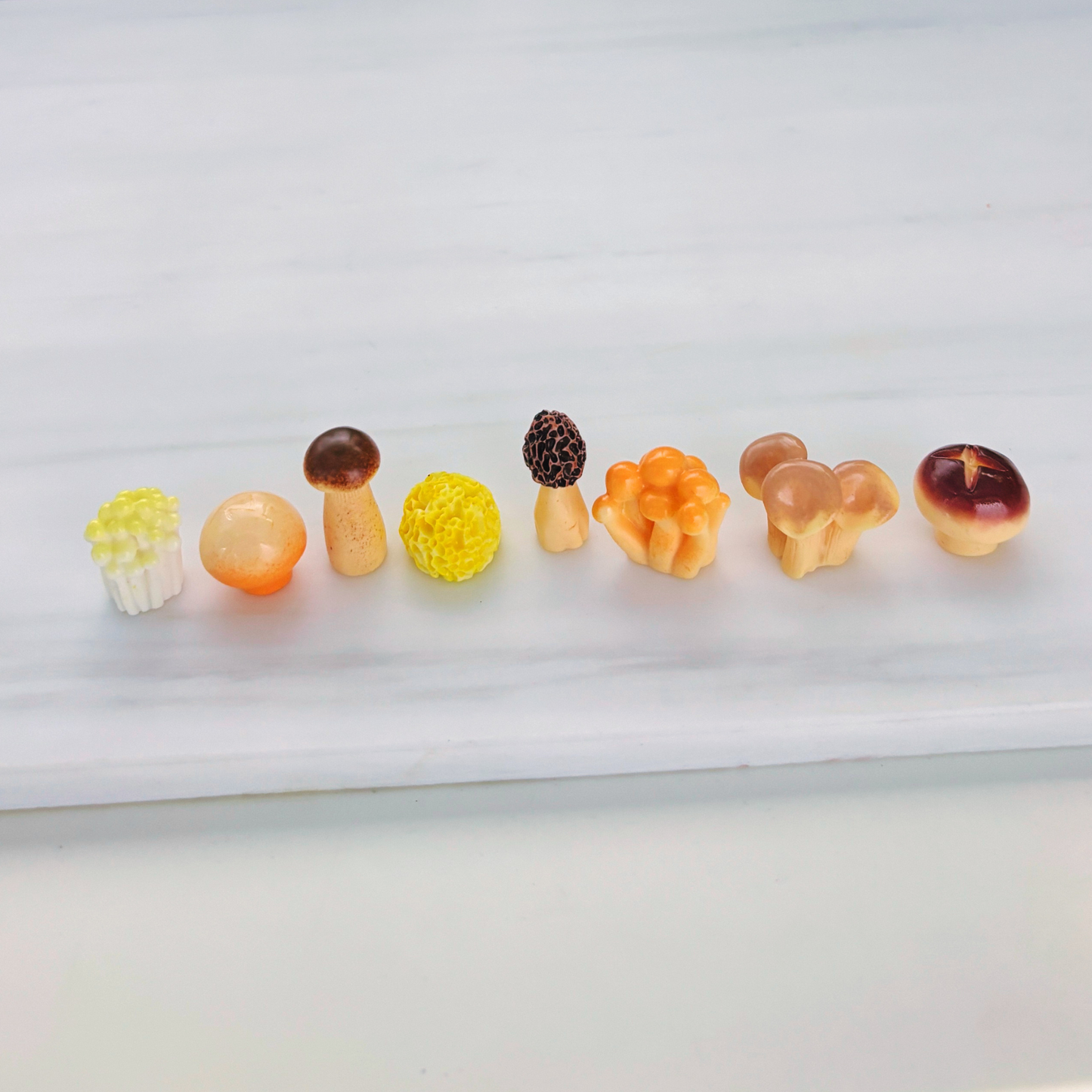 Mini Japanese Mushroom Garden Desk Set | 8 Tiny Mushroom Models