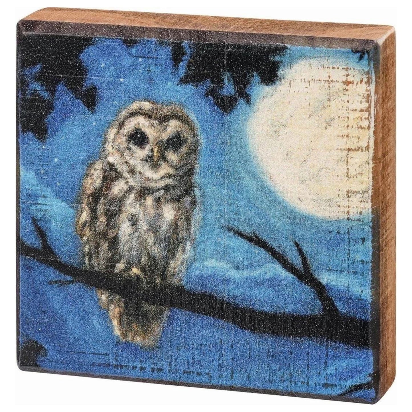 Moody Owl Wooden Block Sign | Dark Academia Celestial Rustic Wall Décor 4" x 4" x 1"