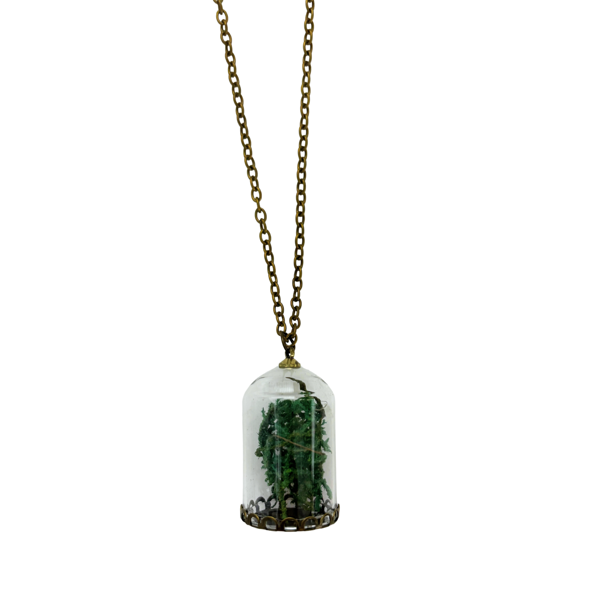 Moss Terrarium Necklace | Real Dried Moss in Glass Cloche Pendant | 24" Aged Brass Chain