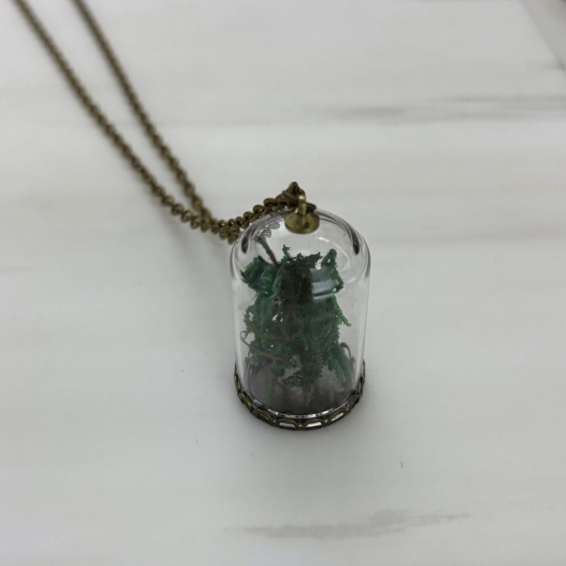 Moss Terrarium Necklace | Real Dried Moss in Glass Cloche Pendant | 24" Aged Brass Chain