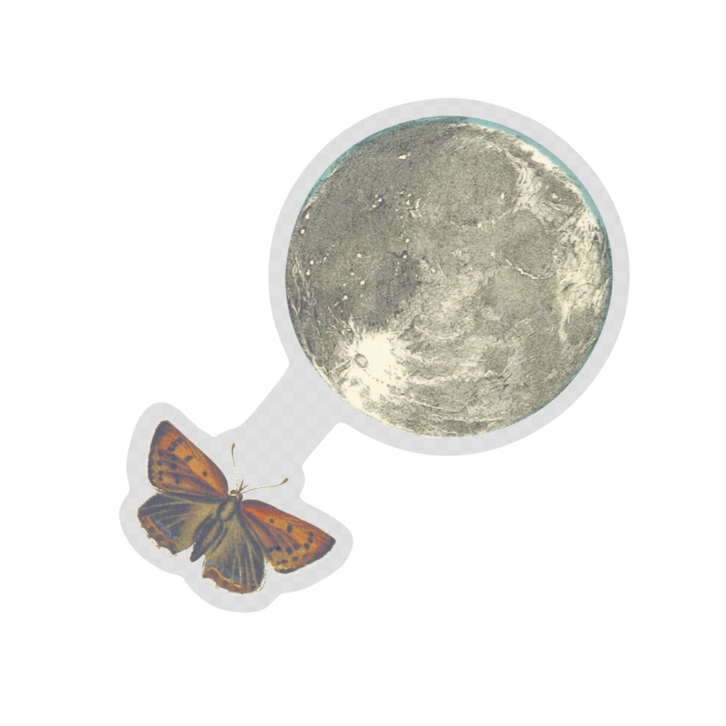 Moth and Moon Transparent Sticker for Dark Surfaces | Spooky Clear Decal for Black Water Bottles and Laptops