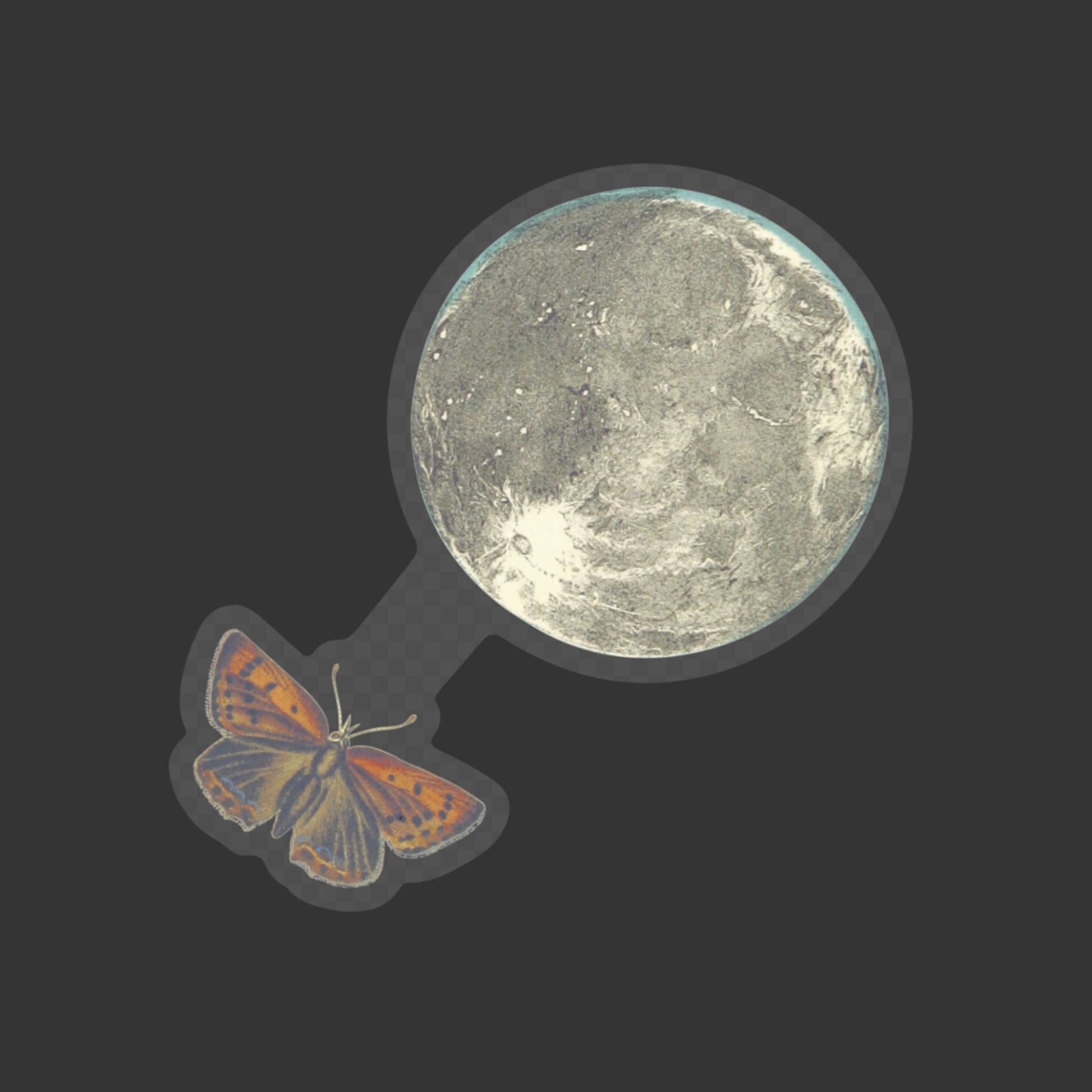 Moth and Moon Transparent Sticker for Dark Surfaces | Spooky Clear Decal for Black Water Bottles and Laptops