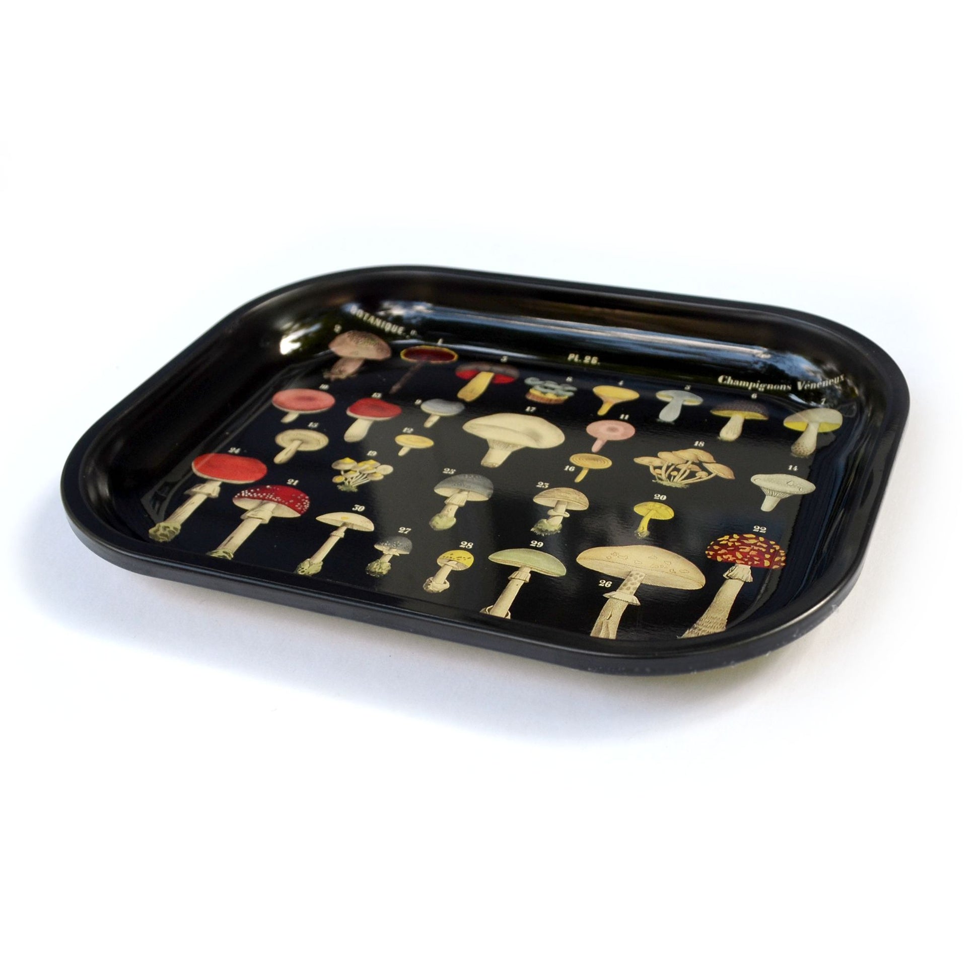 Mushroom Small Metal Ritual Tray in Black | Vintage Fungi Print Catch-all Rolling Tray | 5"x7"