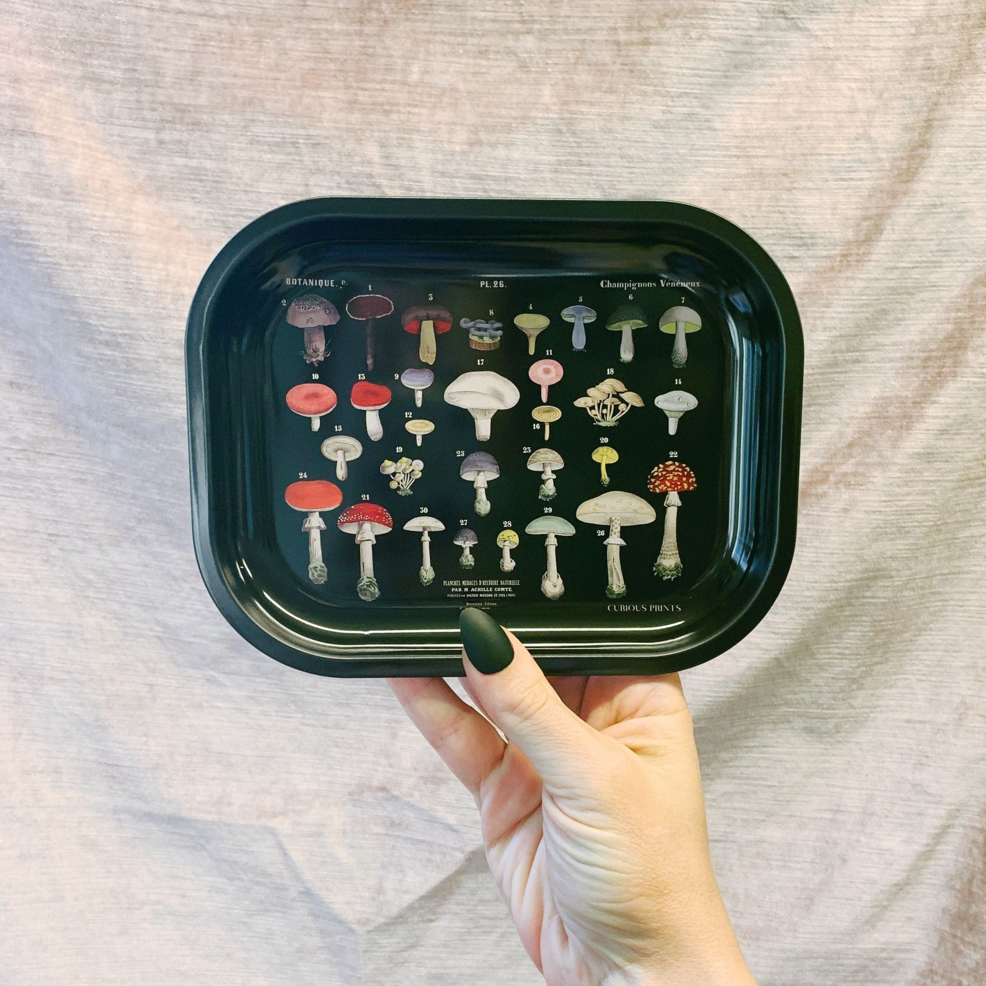 Mushroom Small Metal Ritual Tray in Black | Vintage Fungi Print Catch-all Rolling Tray | 5"x7"