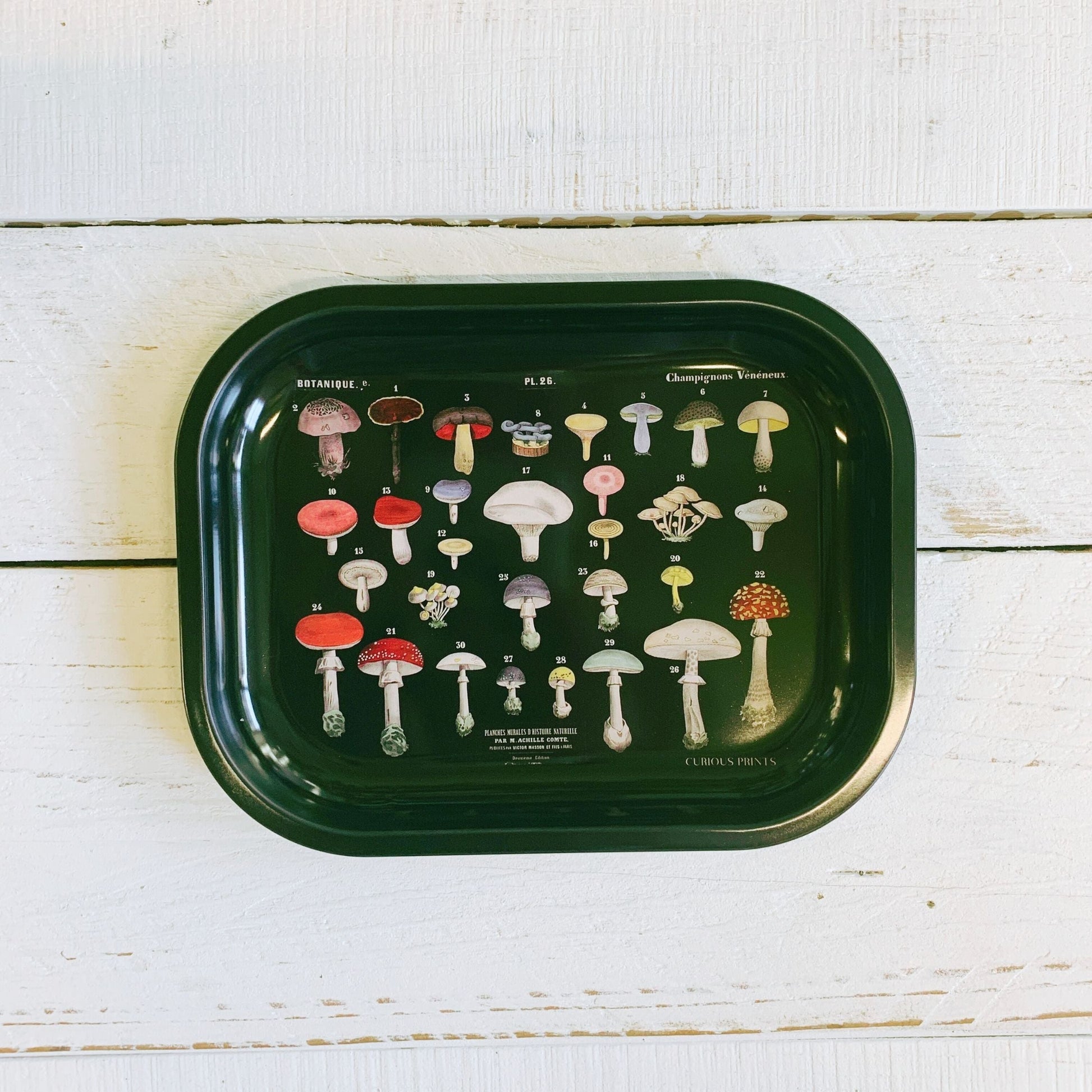 Mushroom Small Metal Ritual Tray in Black | Vintage Fungi Print Catch-all Rolling Tray | 5"x7"