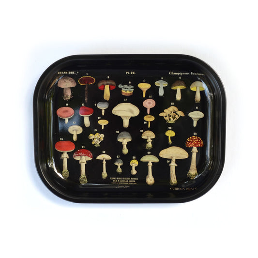 Mushroom Small Metal Ritual Tray in Black | Vintage Fungi Print Catch-all Rolling Tray | 5"x7"