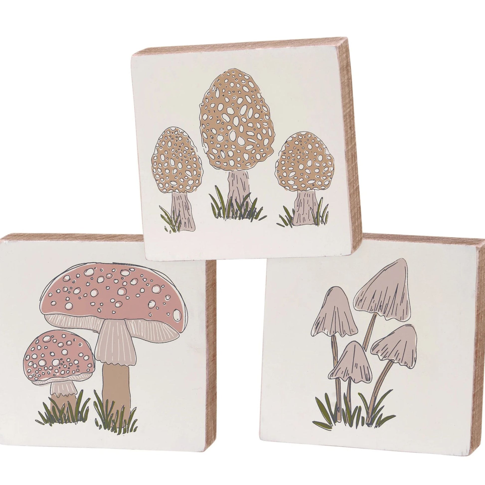 Set of three wooden blocks with mushroom illustrations