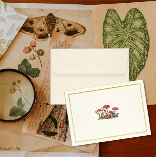 Mushrooms Note Cards | 14 Cards with Embellished Toadstools