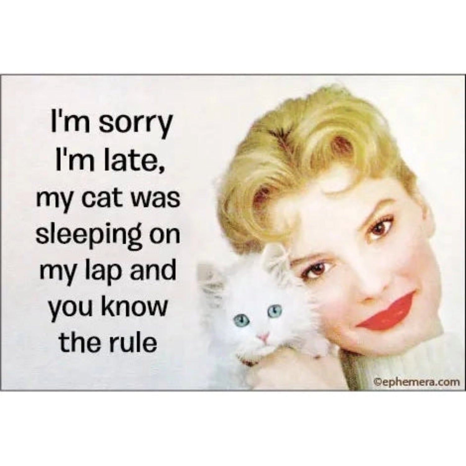 My Cat Was Sleeping On My Lap Rectangular Magnet | 3" x 2"-Ephemera-The Bullish Store