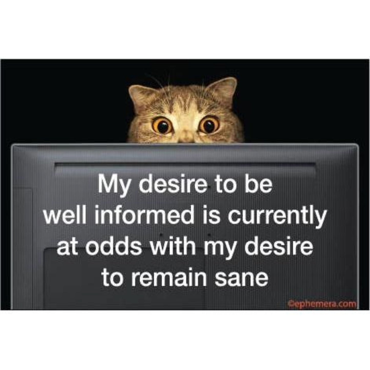 My Desire To Be Well Informed Is Currently At Odds With My Desire To Remain Sane Magnet | 3" x 2"-Ephemera-The Bullish Store