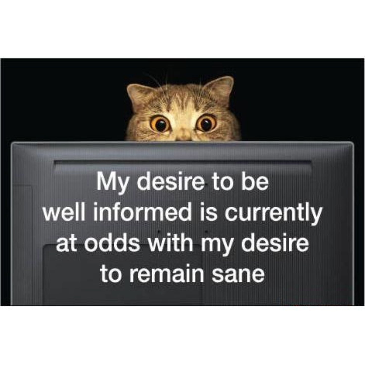 My Desire To Be Well Informed Is Currently At Odds With My Desire To Remain Sane Magnet | 3" x 2"-Ephemera-The Bullish Store