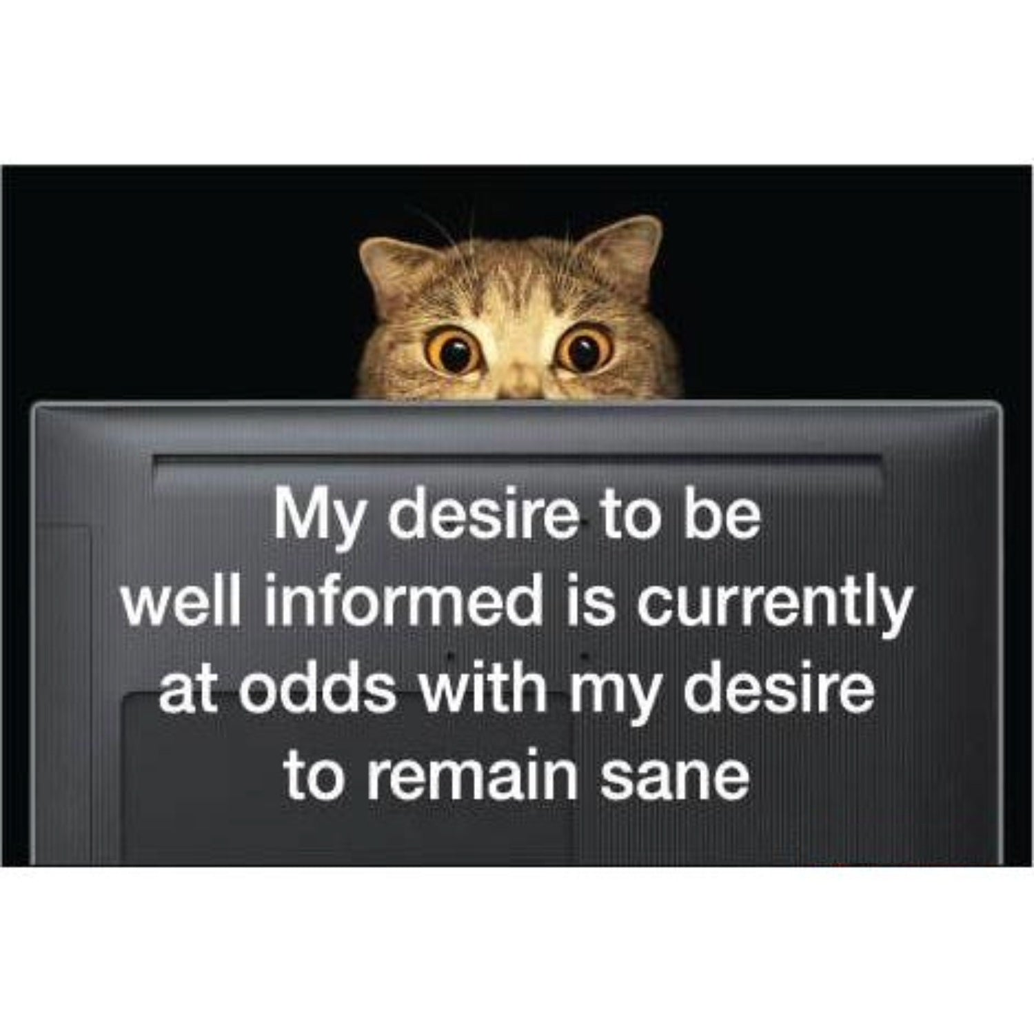 My Desire To Be Well Informed Is Currently At Odds With My Desire To Remain Sane Magnet | 3" x 2"-Ephemera-The Bullish Store