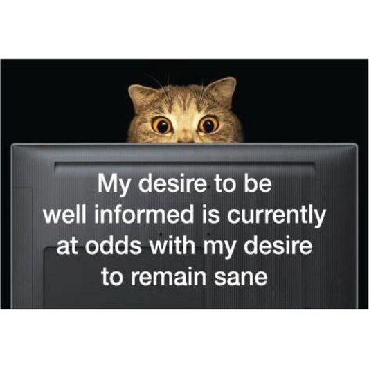 My Desire To Be Well Informed Is Currently At Odds With My Desire To Remain Sane Magnet | 3" x 2"-Ephemera-The Bullish Store