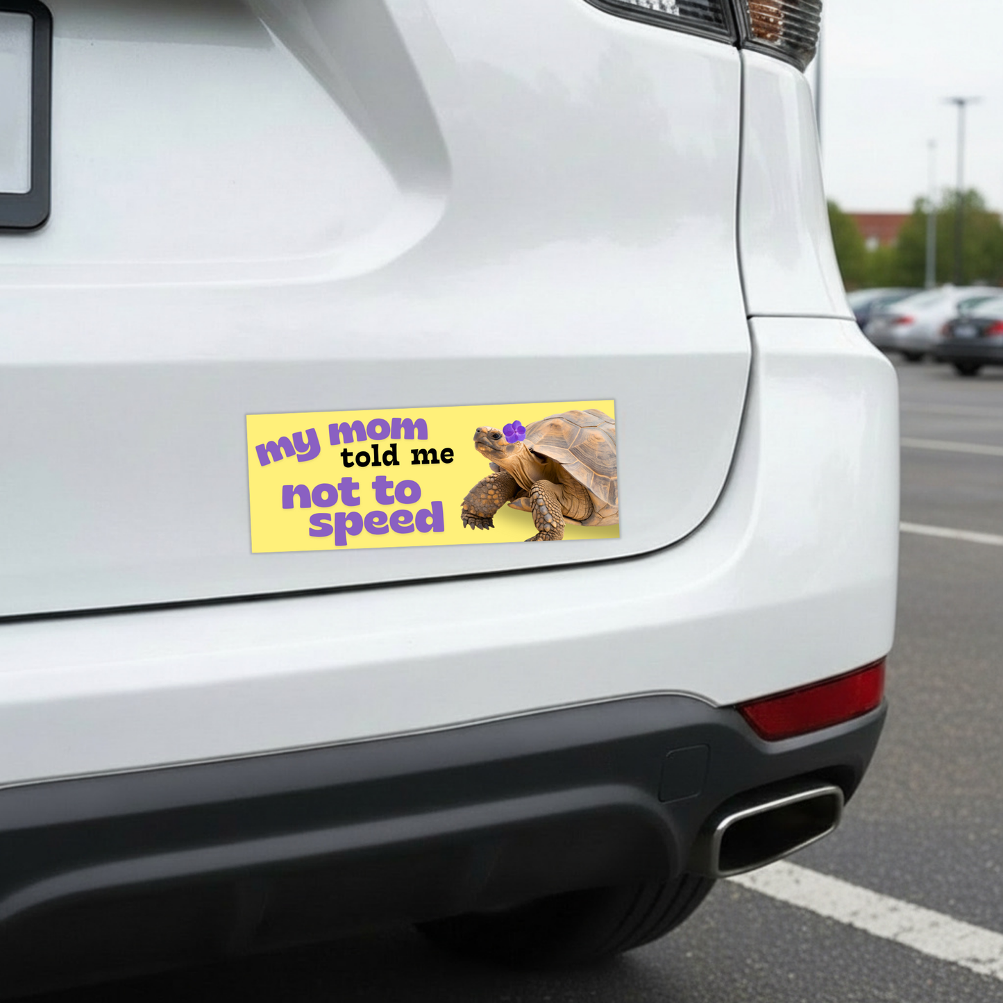 My Mom Told Me Not To Speed Car Magnet | Turtle Tortoise Funny Bumper Magnet-Sleazy Greetings-The Bullish Store