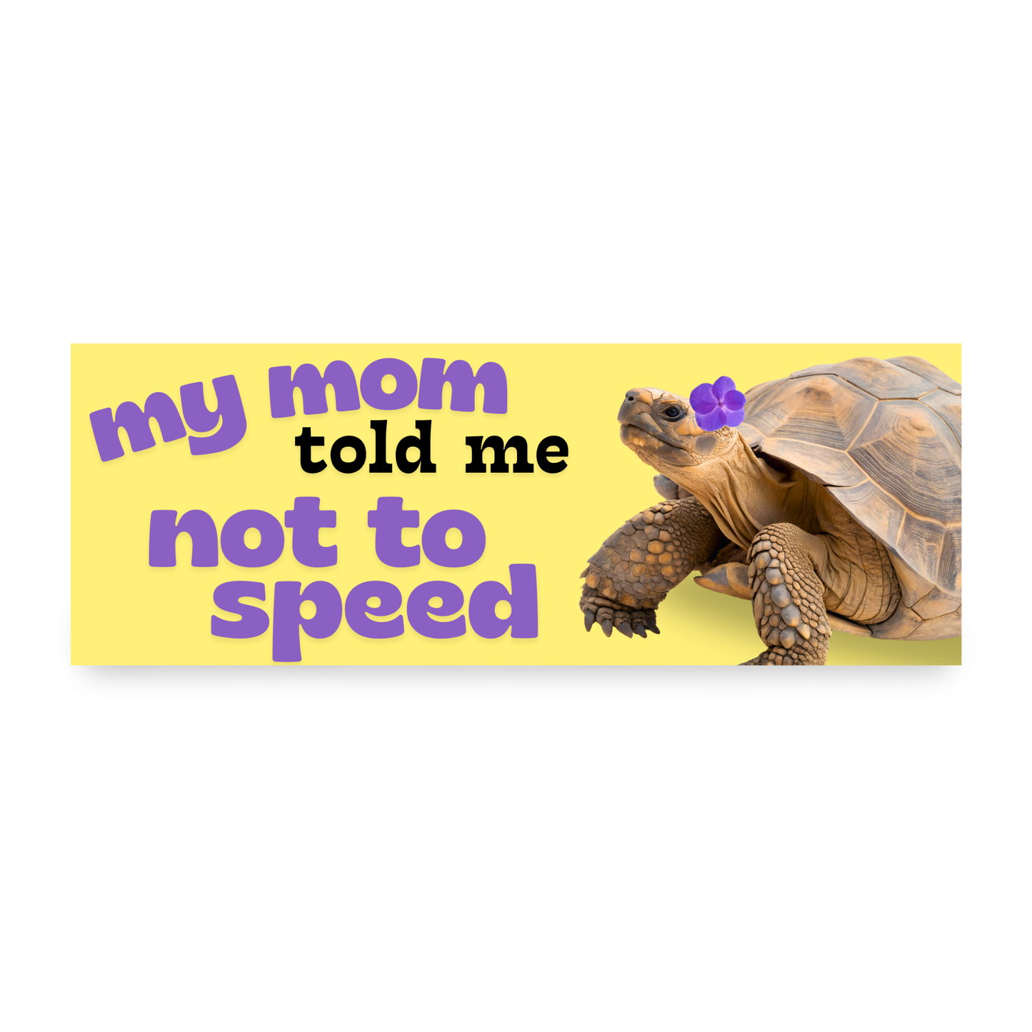 A rectangular bumper sticker or sign with a yellow background, featuring the text 'my mom told me not to speed' in purple and black lettering, alongside a realistic image of a brown tortoise wearing a small purple flower on its shell.