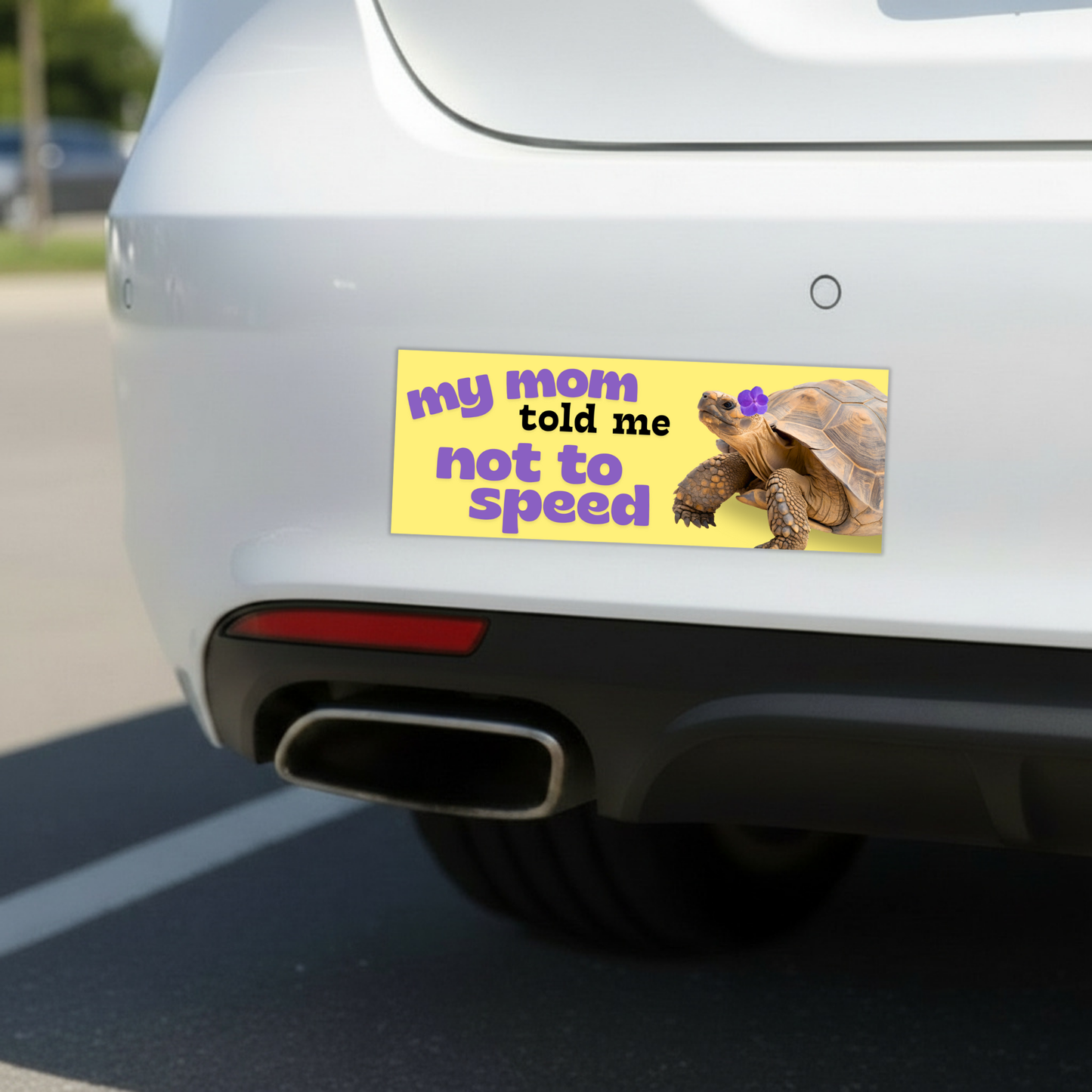 My Mom Told Me Not To Speed Car Magnet | Turtle Tortoise Funny Bumper Magnet-Sleazy Greetings-The Bullish Store