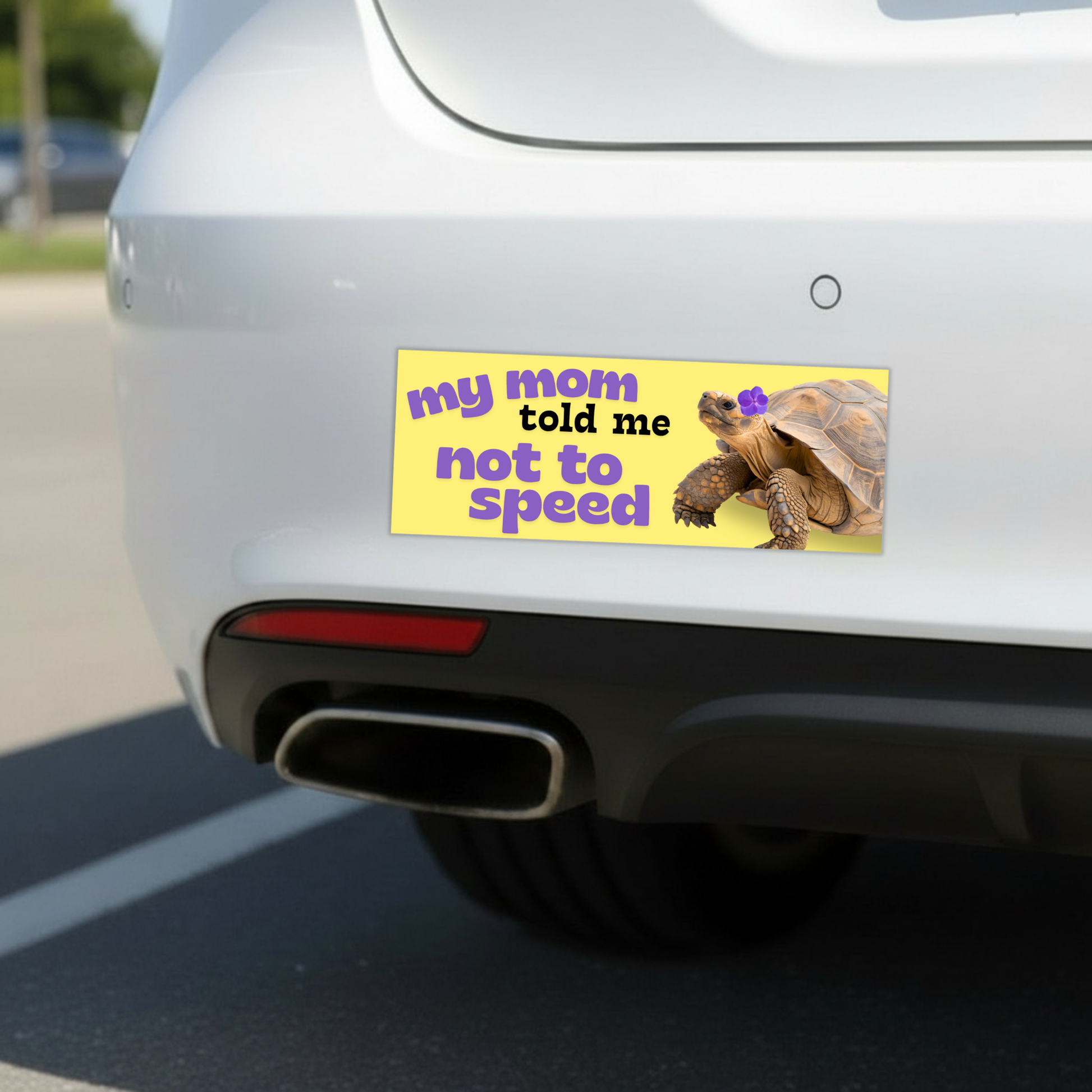 My Mom Told Me Not To Speed Car Magnet | Turtle Tortoise Funny Bumper Magnet-Sleazy Greetings-The Bullish Store