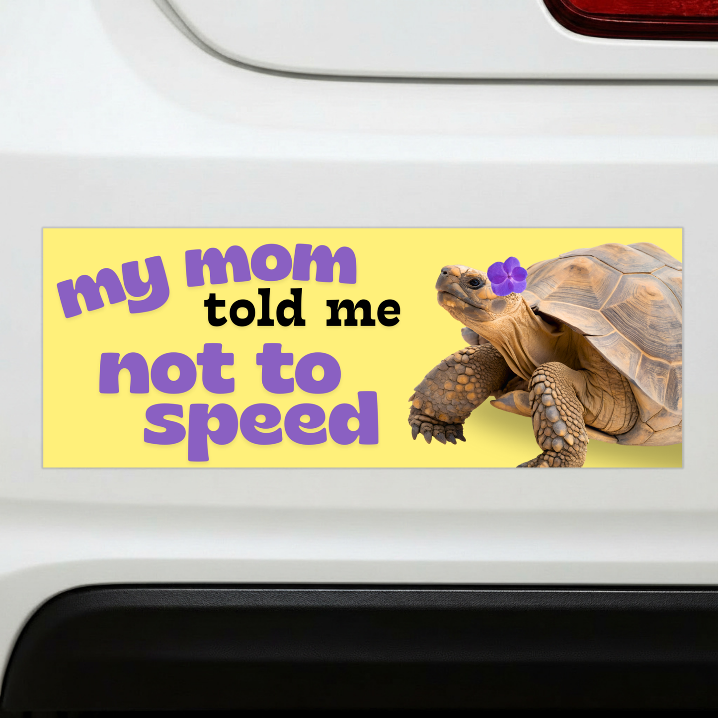 My Mom Told Me Not To Speed Car Magnet | Turtle Tortoise Funny Bumper Magnet-Sleazy Greetings-The Bullish Store